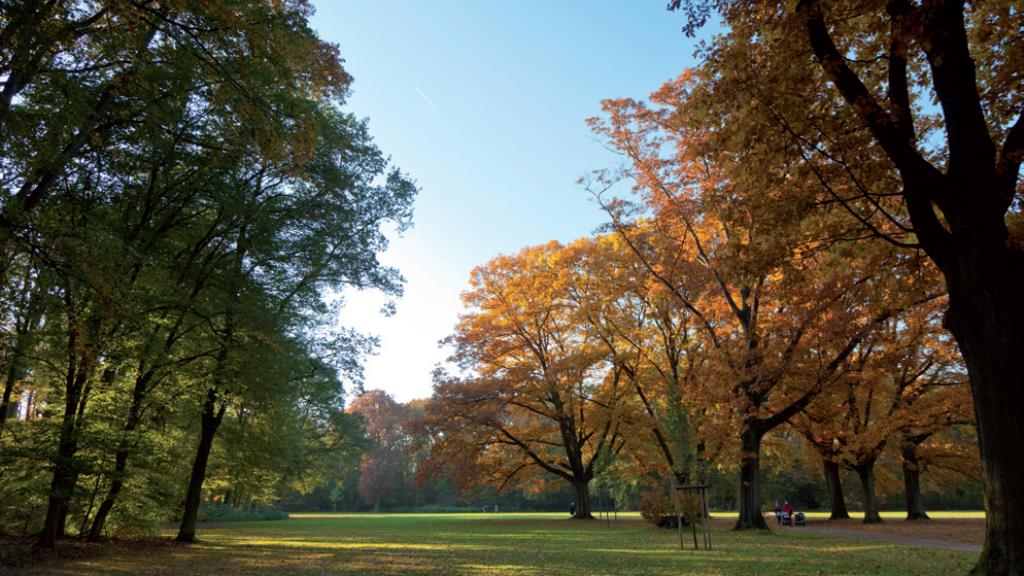 Pelzers Wohnbau Projektbild Kleinhuetten 1-3 Bild 5